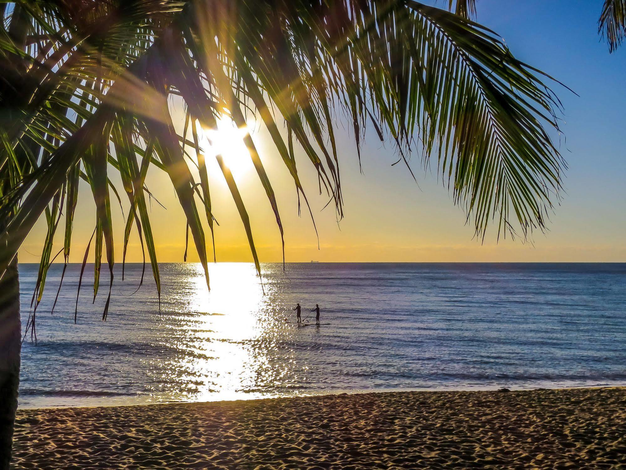 Roydon Beachfront Apartments Trinity Beach Kültér fotó