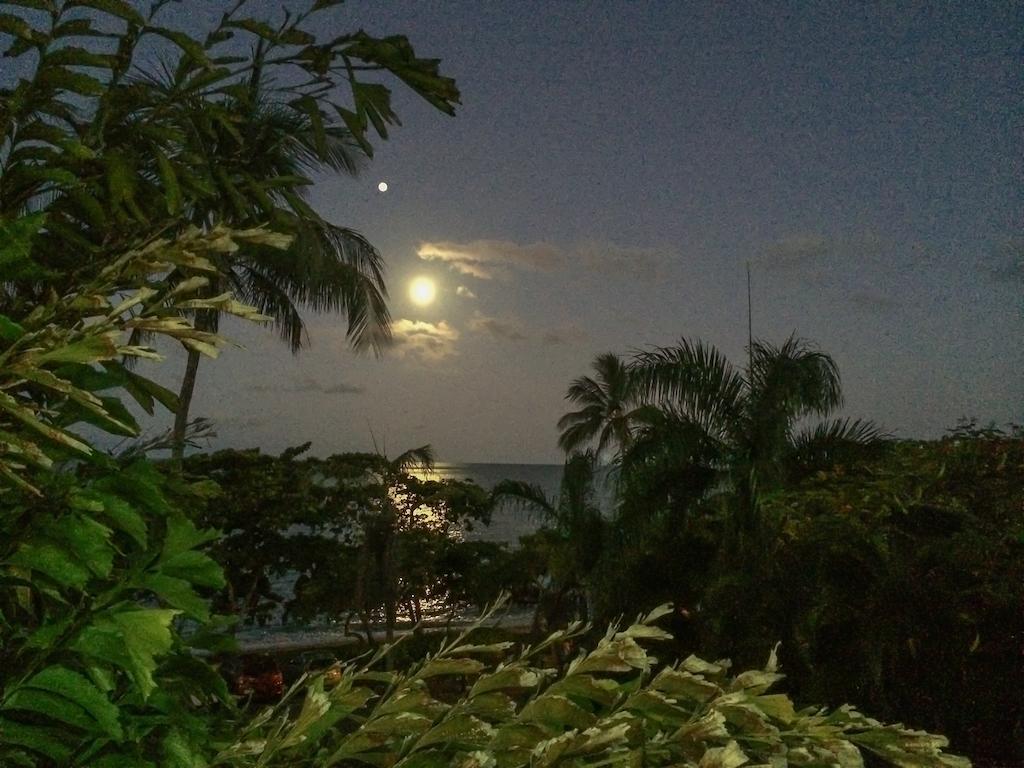 Roydon Beachfront Apartments Trinity Beach Kültér fotó